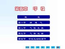 医学课件-第五章 呼吸