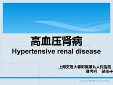 高血压肾病课件