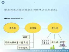 感染性心内膜炎