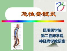 急性脊髓炎