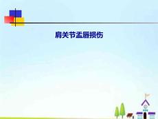 肩关节盂唇损伤PPT课件