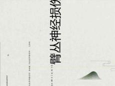 臂丛神经损伤
