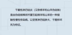 干酪性淋巴结炎PPT课件2
