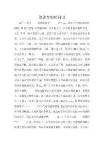 給領導的檢討書 (9)