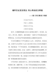 辛亥革命 觀后感