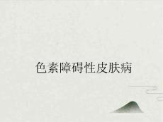 色素障碍性皮肤病PPT课件2