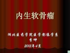 内生软骨瘤PPT课件