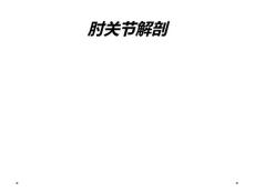 肘关节解剖