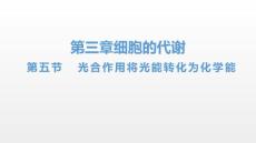 光合作用将光能转化为化学能-高一上学期生物浙科版必修1