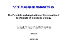 分子生物学技术