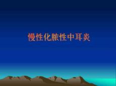 慢性化脓性中耳炎51