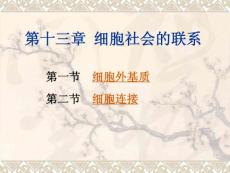 第十三章 細胞連接