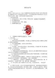 肾积水护理