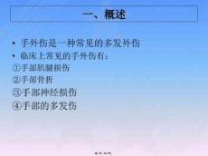 手外伤评定技术