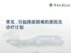 排尿困难的原因PPT课件