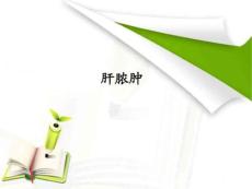 肝脓肿护理进展