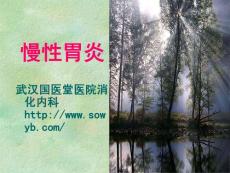 慢性胃炎课件
