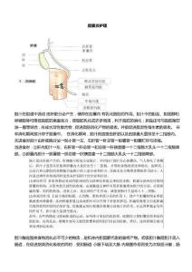 胆囊炎护理