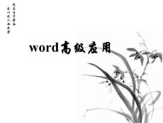 word高级应用