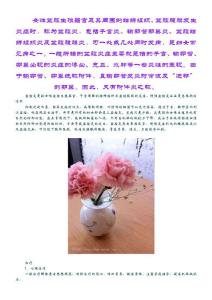 什么是盆腔炎呢,盆腔炎该如何治疗呢