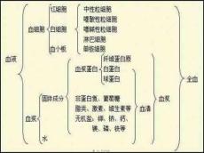 白细胞减少症PPT课件