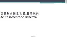 急性肠系膜血管缺血性疾病PPT课件