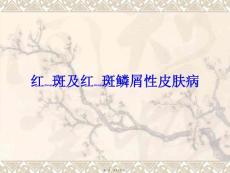 红斑及红斑鳞屑性皮肤病PPT课件