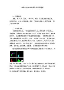 传染性单核细胞增多症案例解析