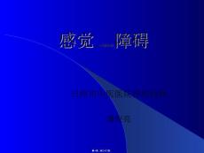 B感觉障碍PPT课件