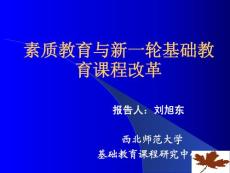 素质教育与基础教育课程改革
