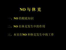 NO与休克