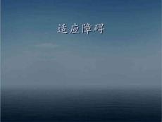 适应障碍ppt课件