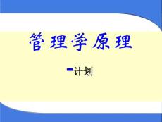 管理学原理-计划