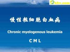 慢性粒细胞白血病慢性粒细胞白血病