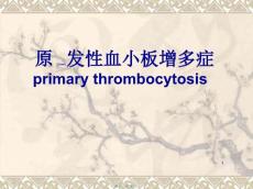 医学文库网原发性血小板增多症ppt课件