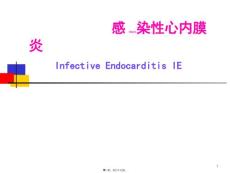 心内膜炎ppt课件