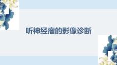 听神经瘤的影像诊断