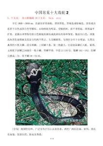 中国常见十大毒蛇2