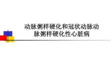 动脉粥样硬化和冠状动脉动脉粥样硬化性心脏病