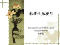 粘连性肠梗阻