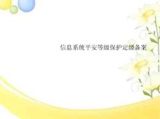 信息系統安全等級保護定級備案)