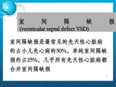 室间隔缺损ventricularseptaldefectVS