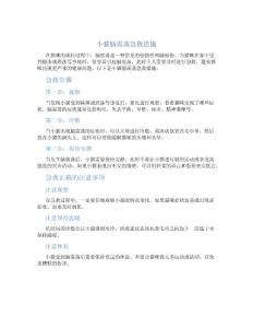 小猫脑震荡急救措施