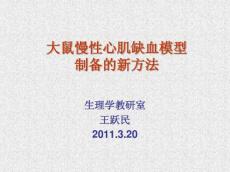 大鼠慢性心肌缺血xin