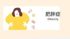 肥胖症的概述