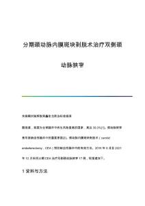 分期颈动脉内膜斑块剥脱术治疗双侧颈动脉狭窄