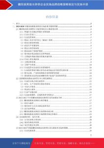 糖尿病黄斑水肿药企业实施品牌战略策略制定与实施手册