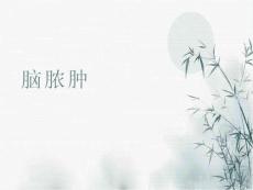 脑脓肿影像