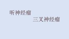 听神经V、VIII神经鞘瘤影像