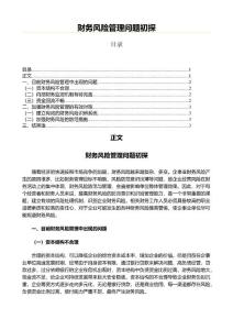財務風險管理問題初探(實用應用文)